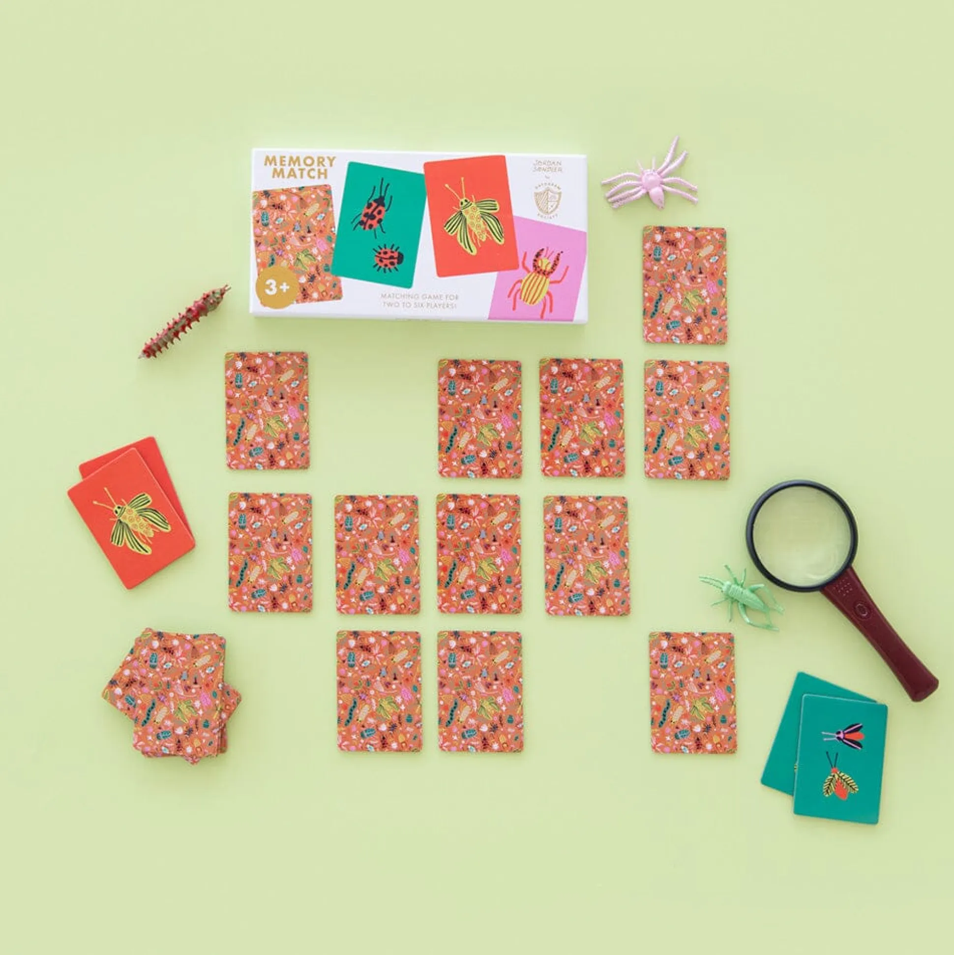 Backyard Bugs Memory Match Game