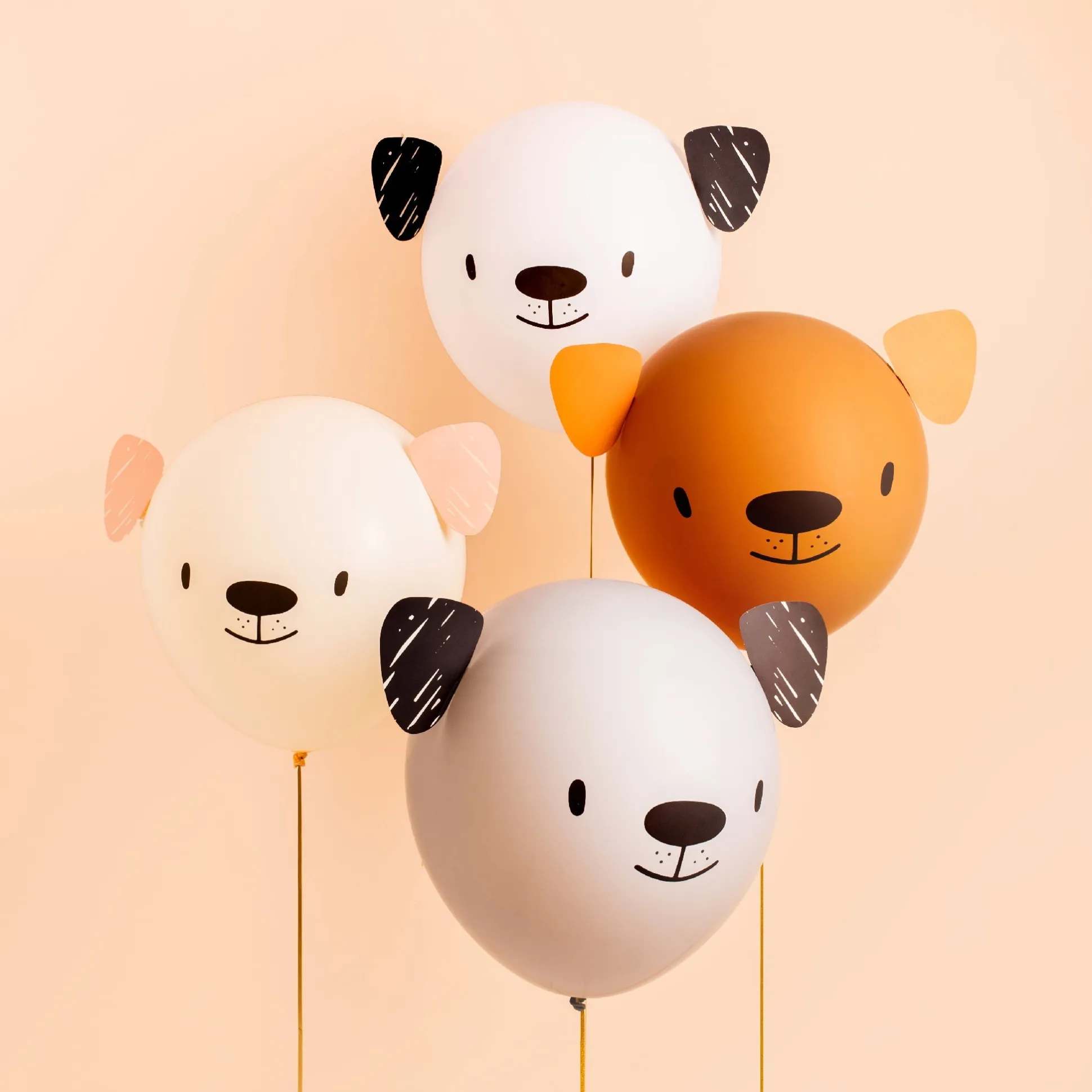 Bow Wow DIY Balloon Decorating Set, Pack of 20