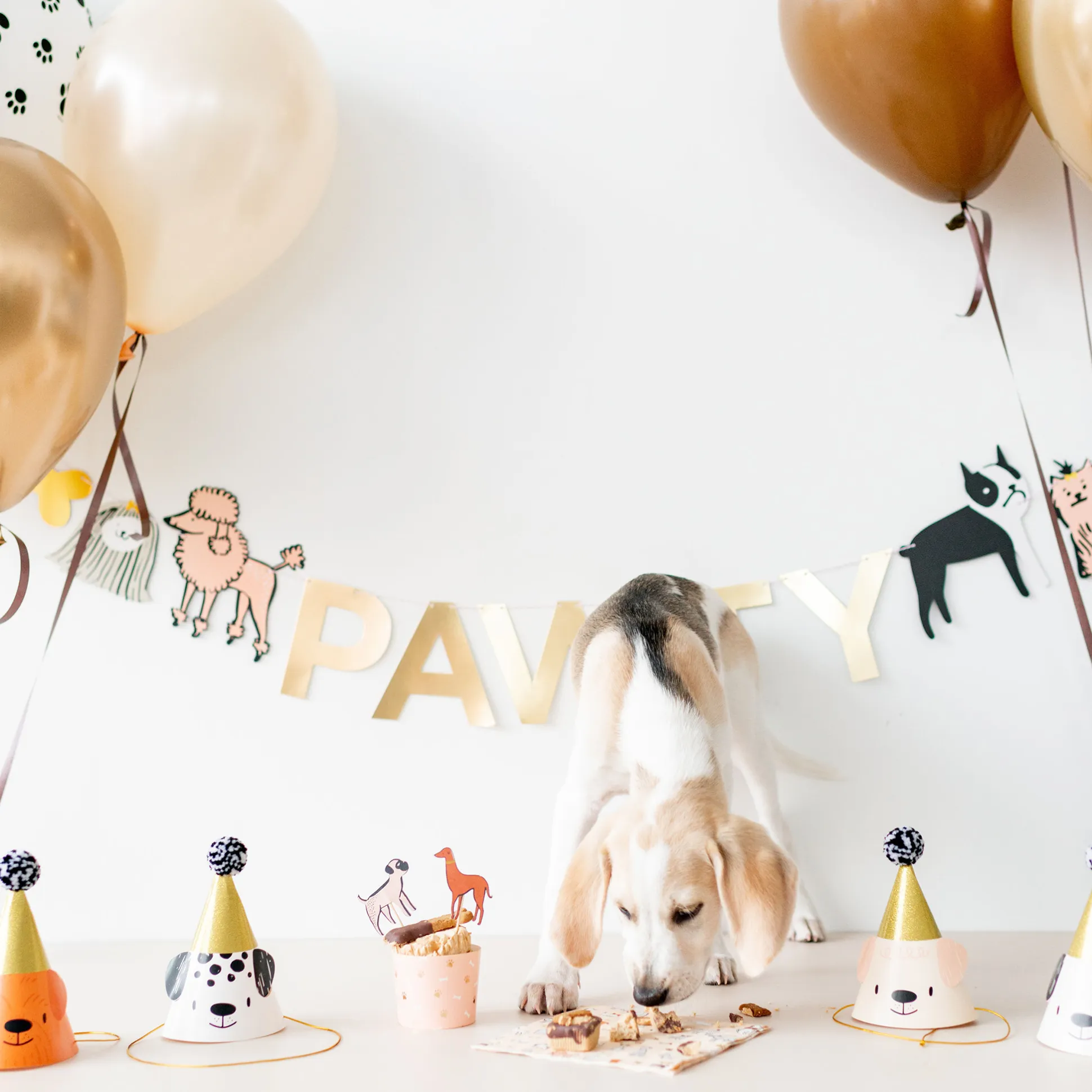 Bow Wow Party Hats, Pack of 8