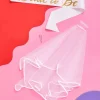 Bride To Be Sash and Veil