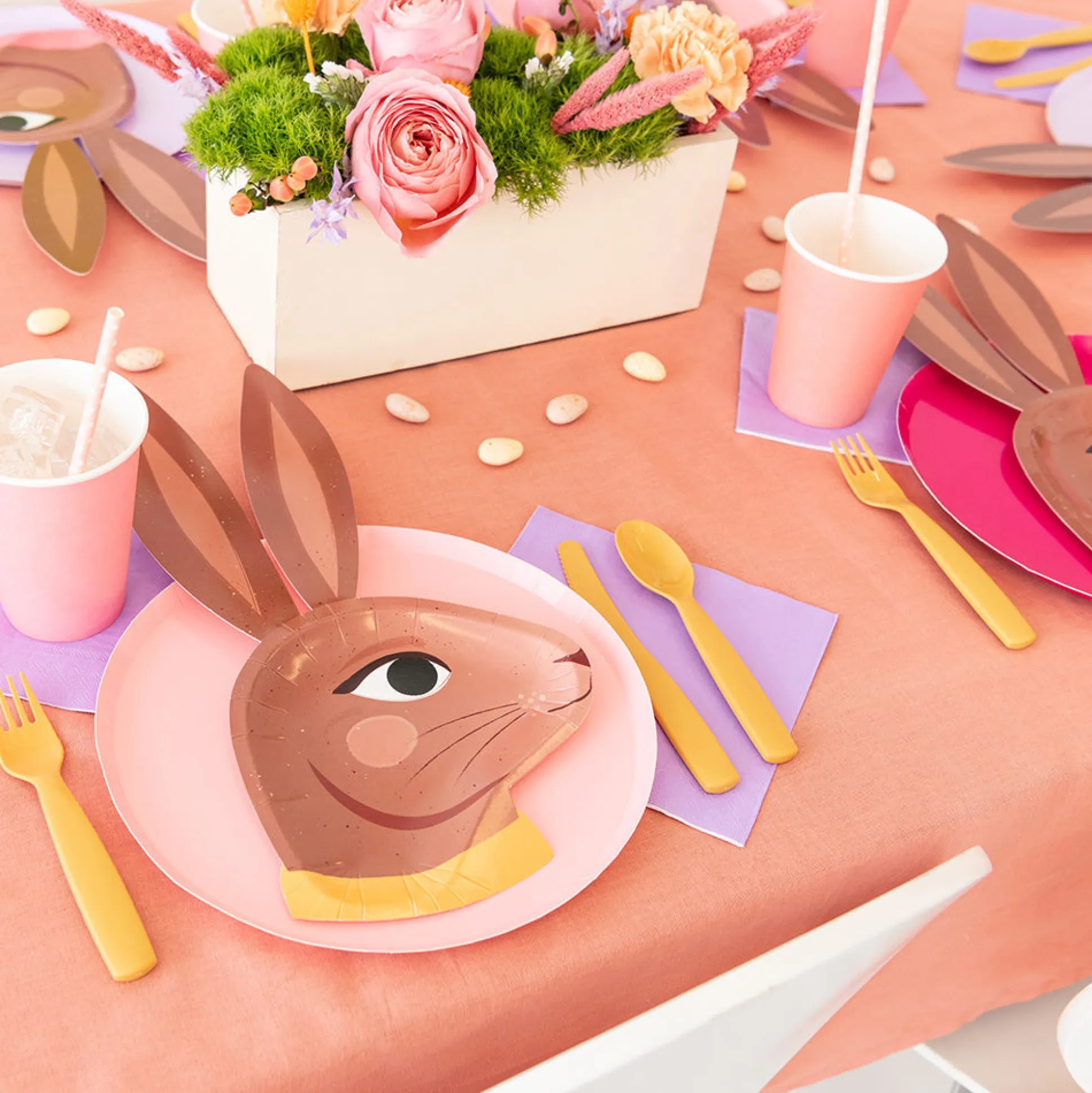 Chocolate Bunny Dinner Plates, Pack of 8