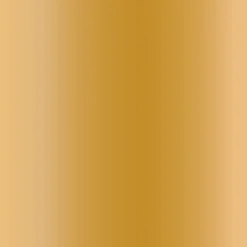 Gold Party Fans