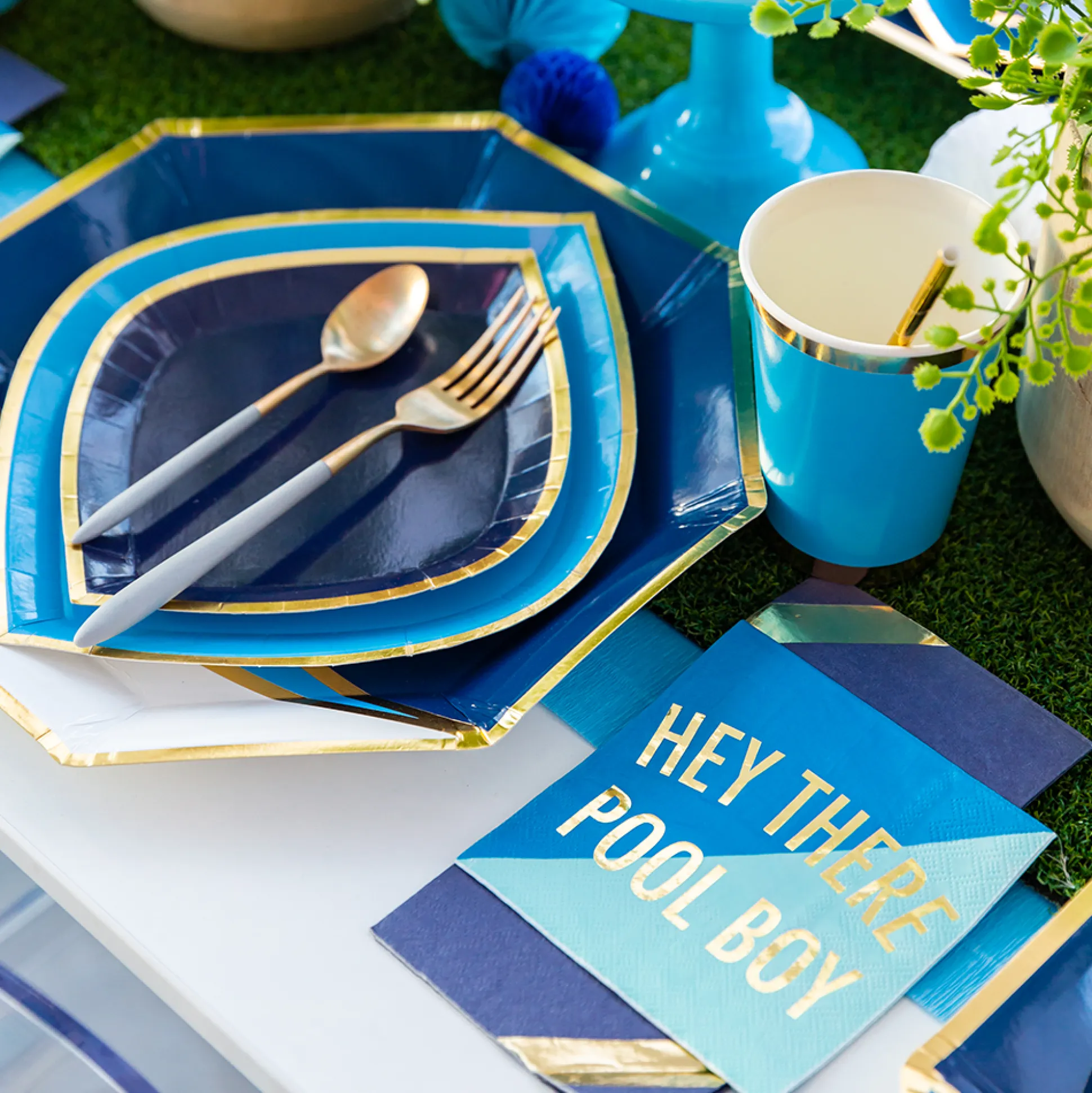 Hey There Pool Boy Witty Cocktail Napkins, Pack of 20