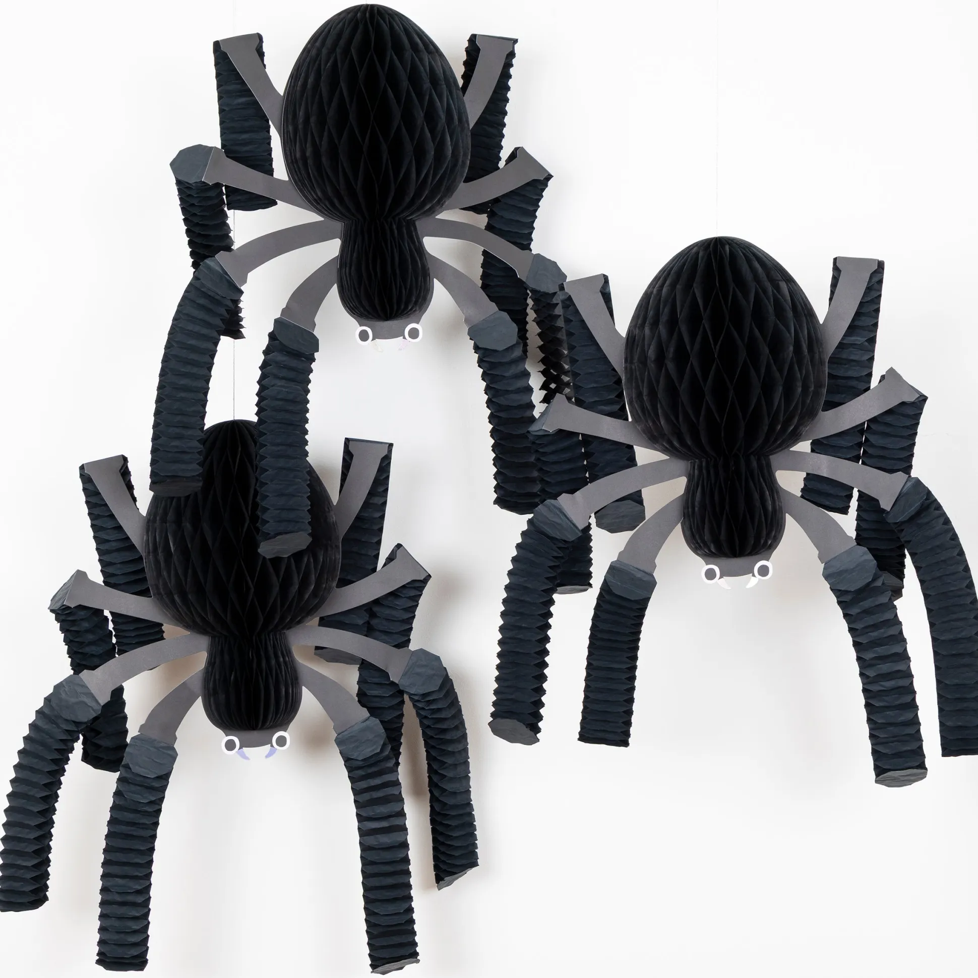 Honeycomb Spiders