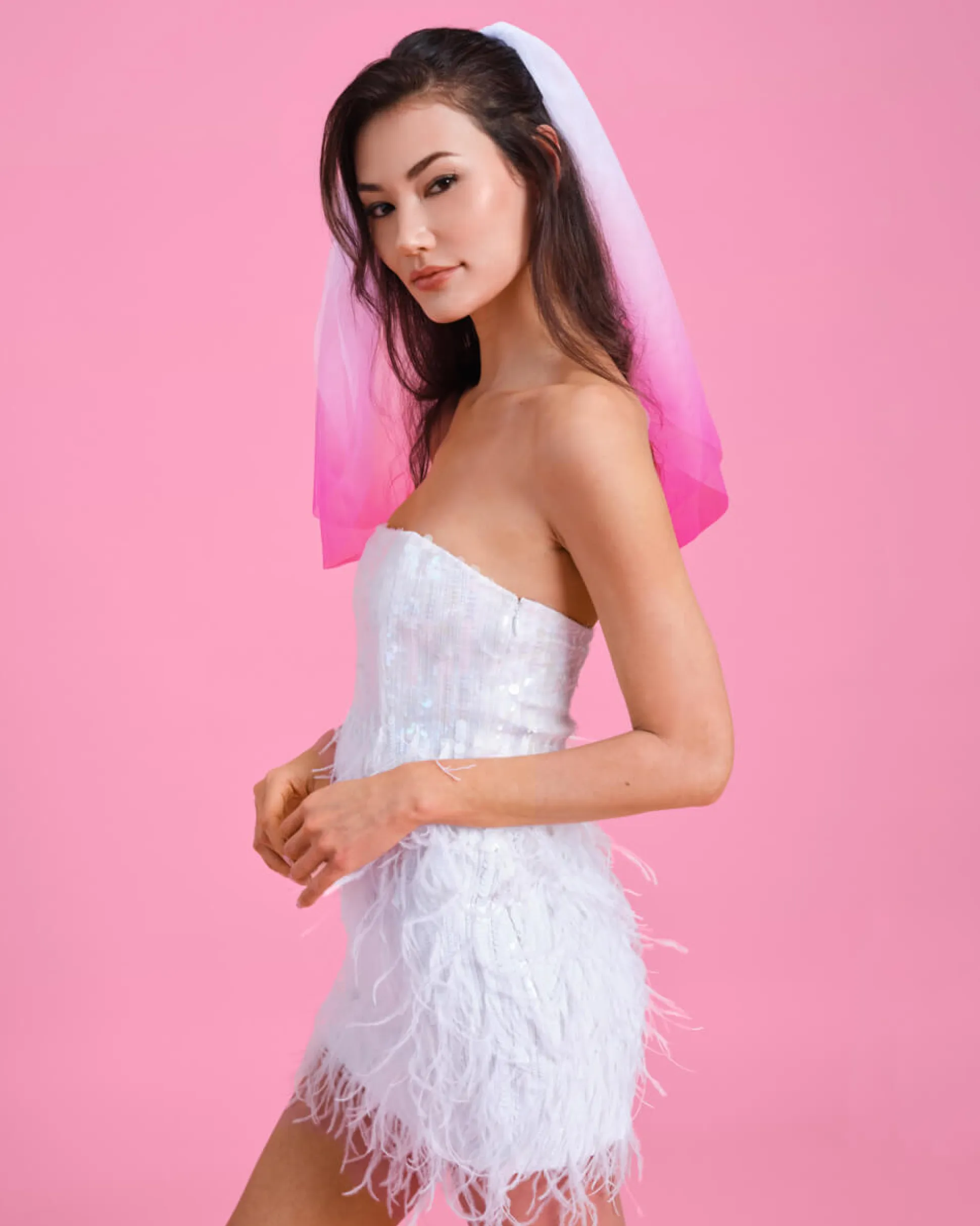 Let'S Go Party Veil - Pink Ombre Veil