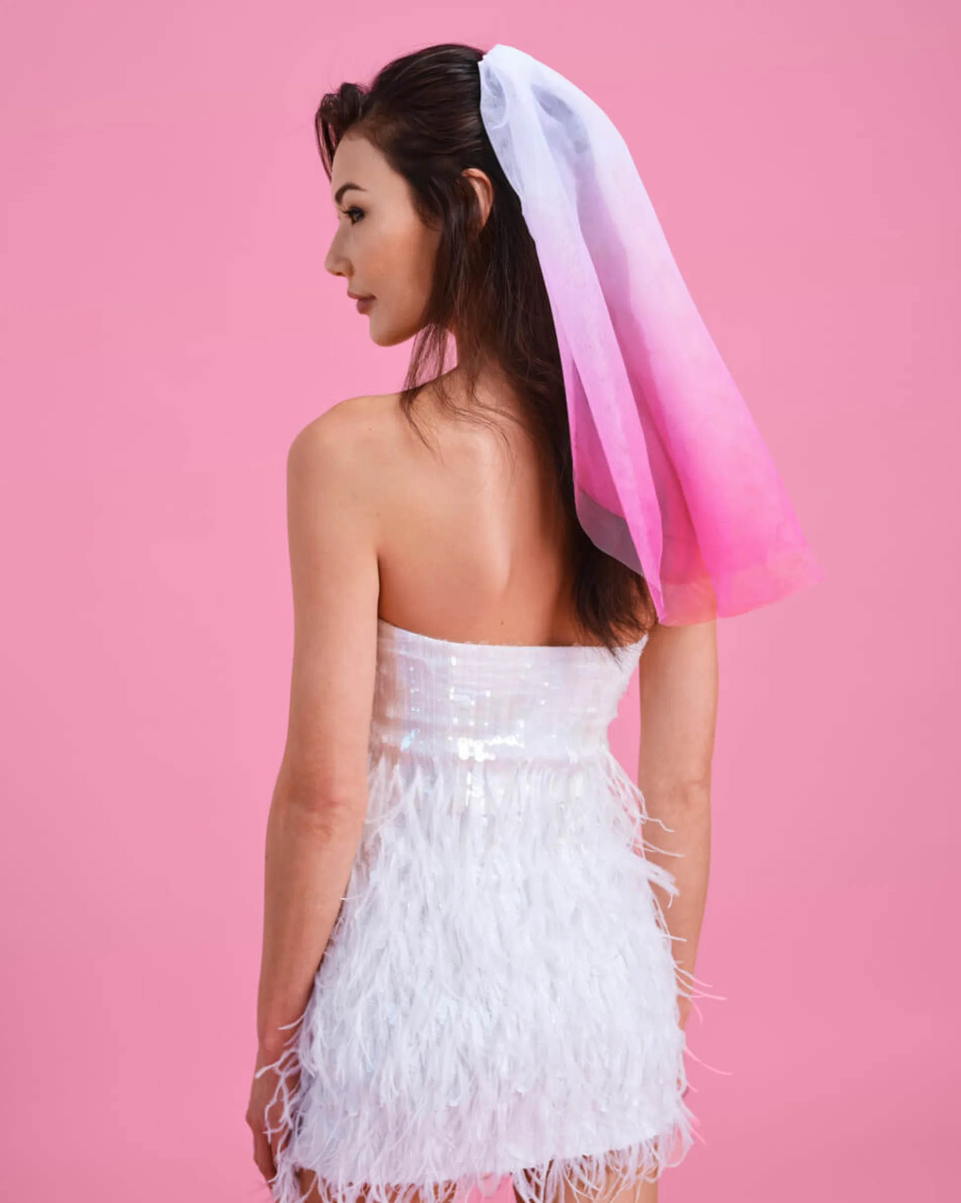 Let'S Go Party Veil - Pink Ombre Veil