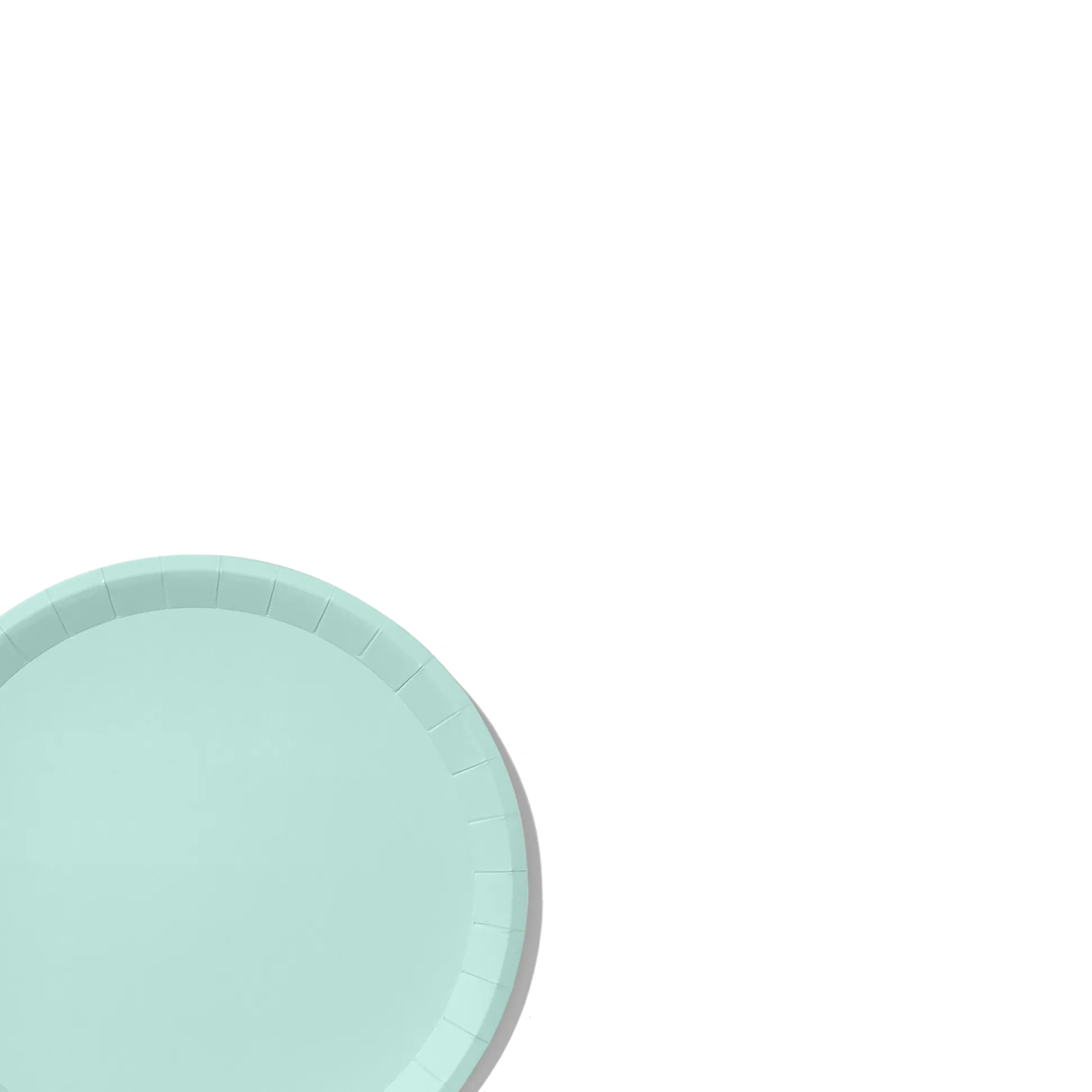 Mint Classic Large Plates (10 per pack)