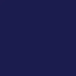 Navy Classic Large Plates (10 per pack)