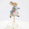 Peter Rabbit & Friends Party Picks, Pack of 12
