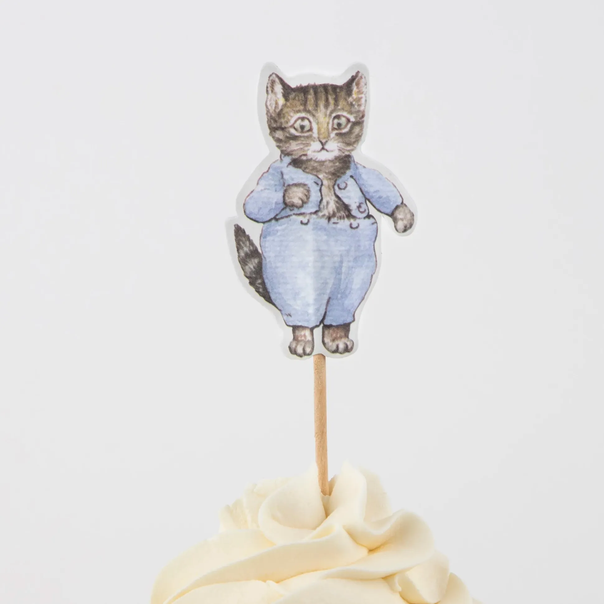 Peter Rabbit In The Garden Cupcake Kit, Pack of 24