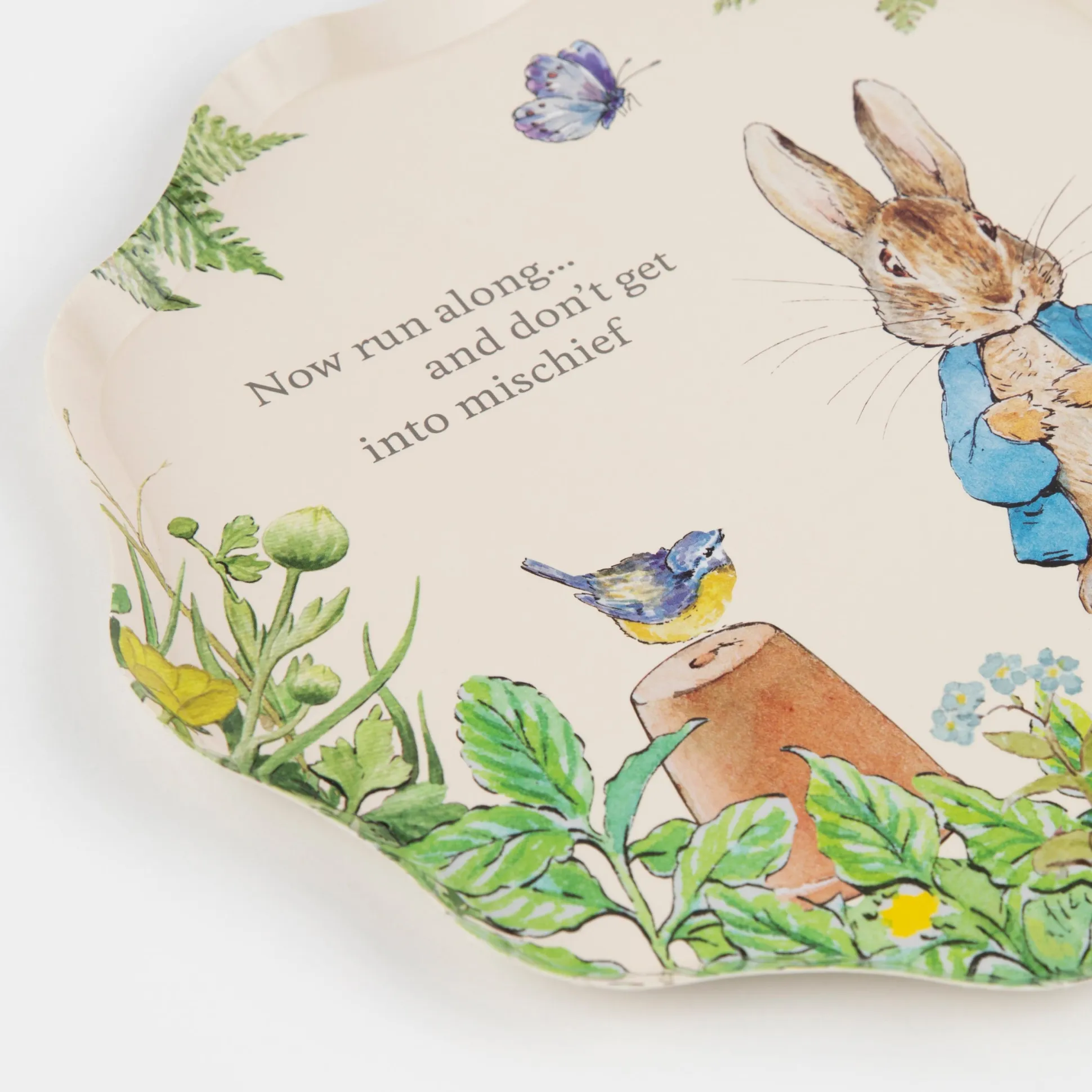 Peter Rabbit™ In The Garden Side Plates, Pack of 8