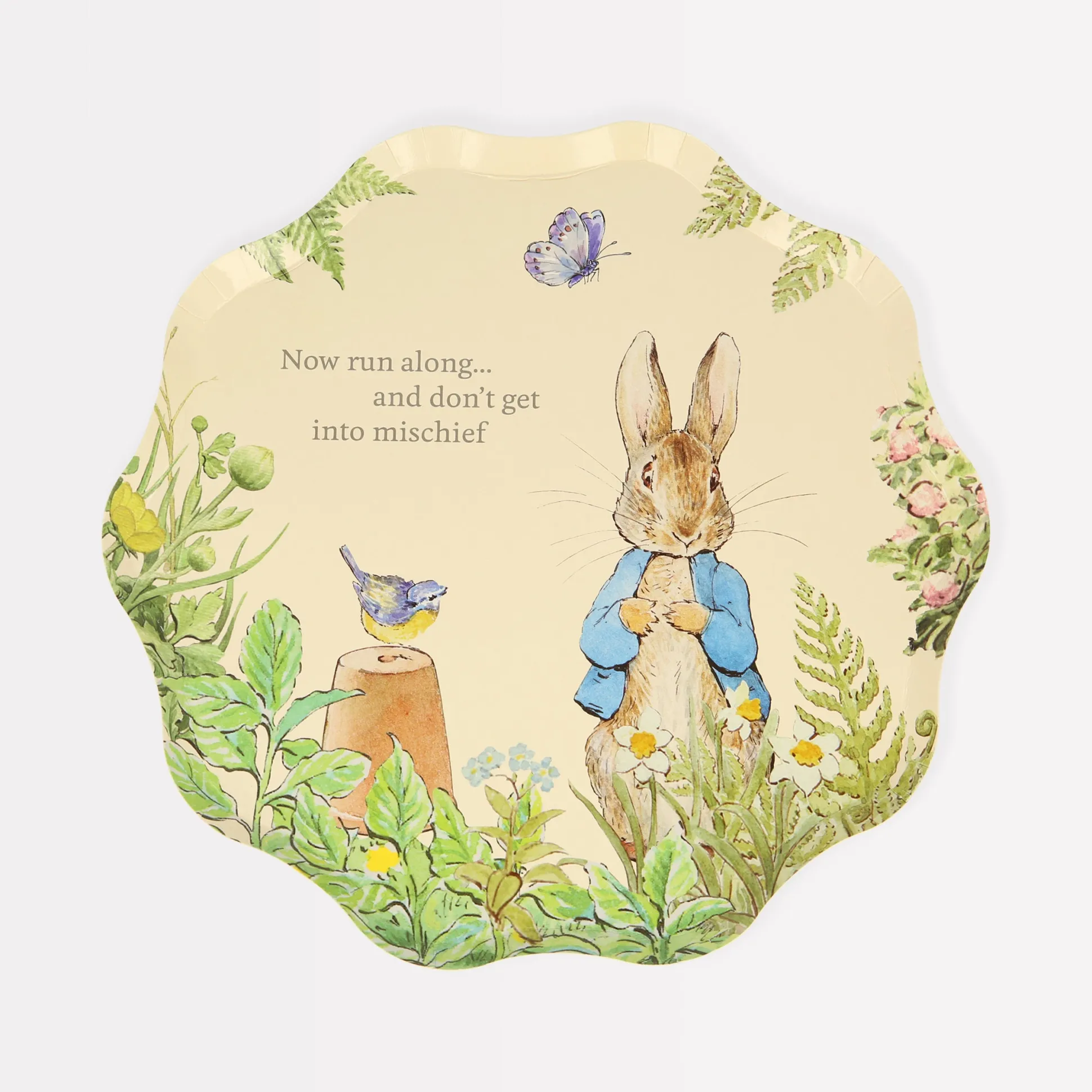 Peter Rabbit™ In The Garden Side Plates, Pack of 8