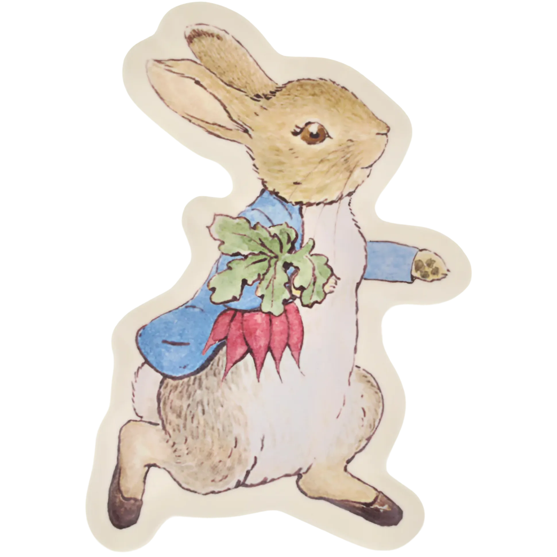 Peter Rabbit Reusable Plate