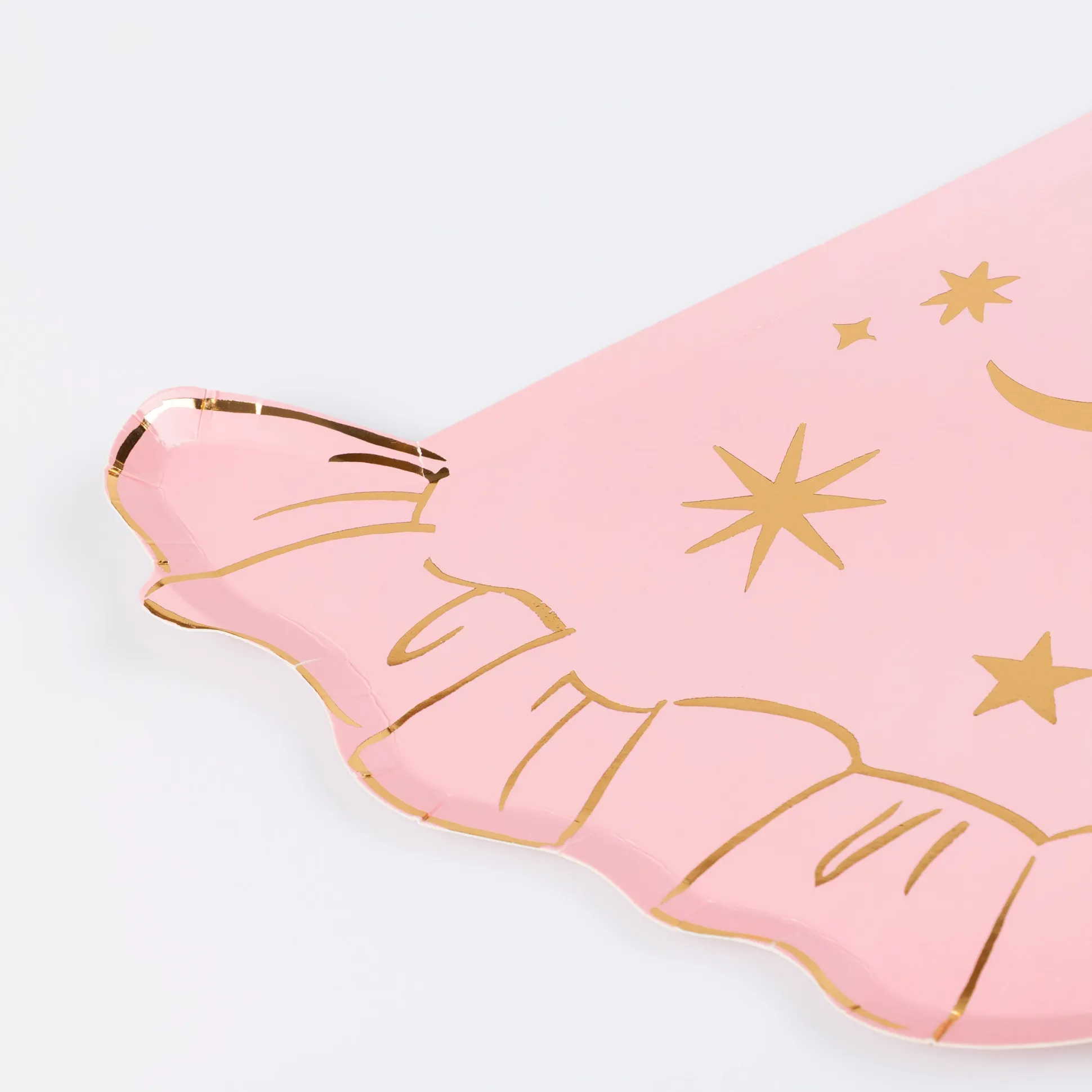 Pink Witch Hat Plates, Pack of 8