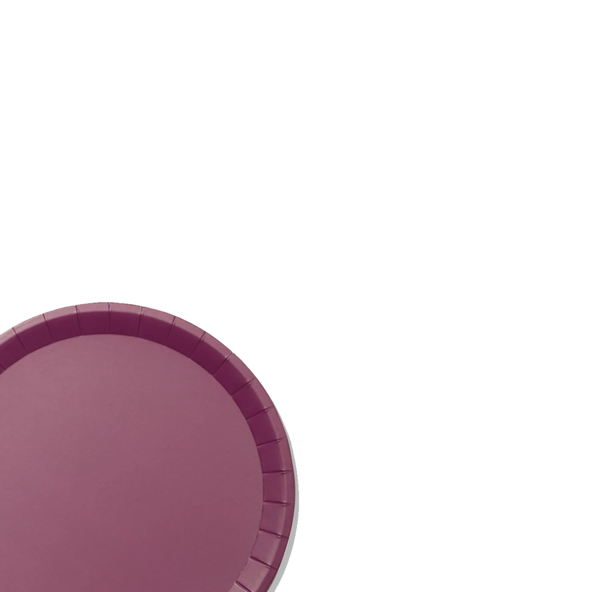Plum Classic Large Plates (10 per pack)