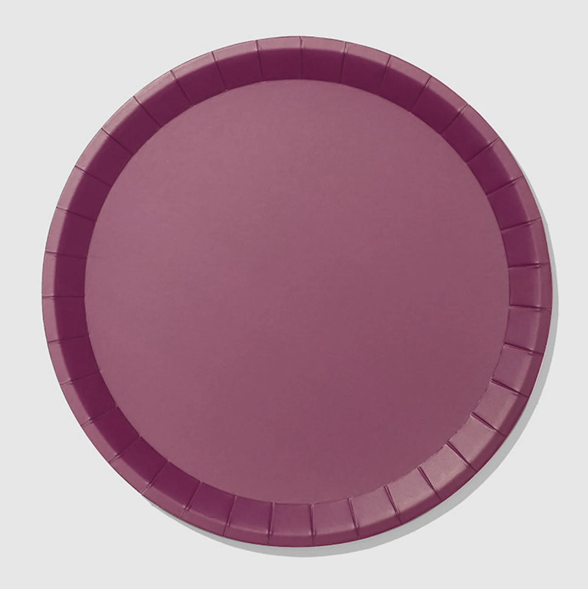 Plum Classic Large Plates (10 per pack)