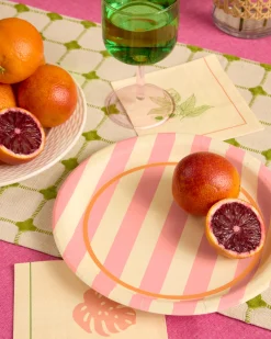 Pool Boy Plates - 24 striped paper plates