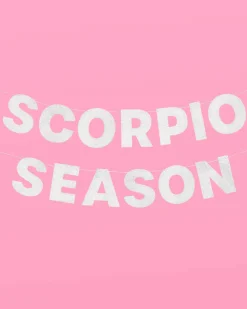 Scorpio Season Banner - Silver Glitter Banner