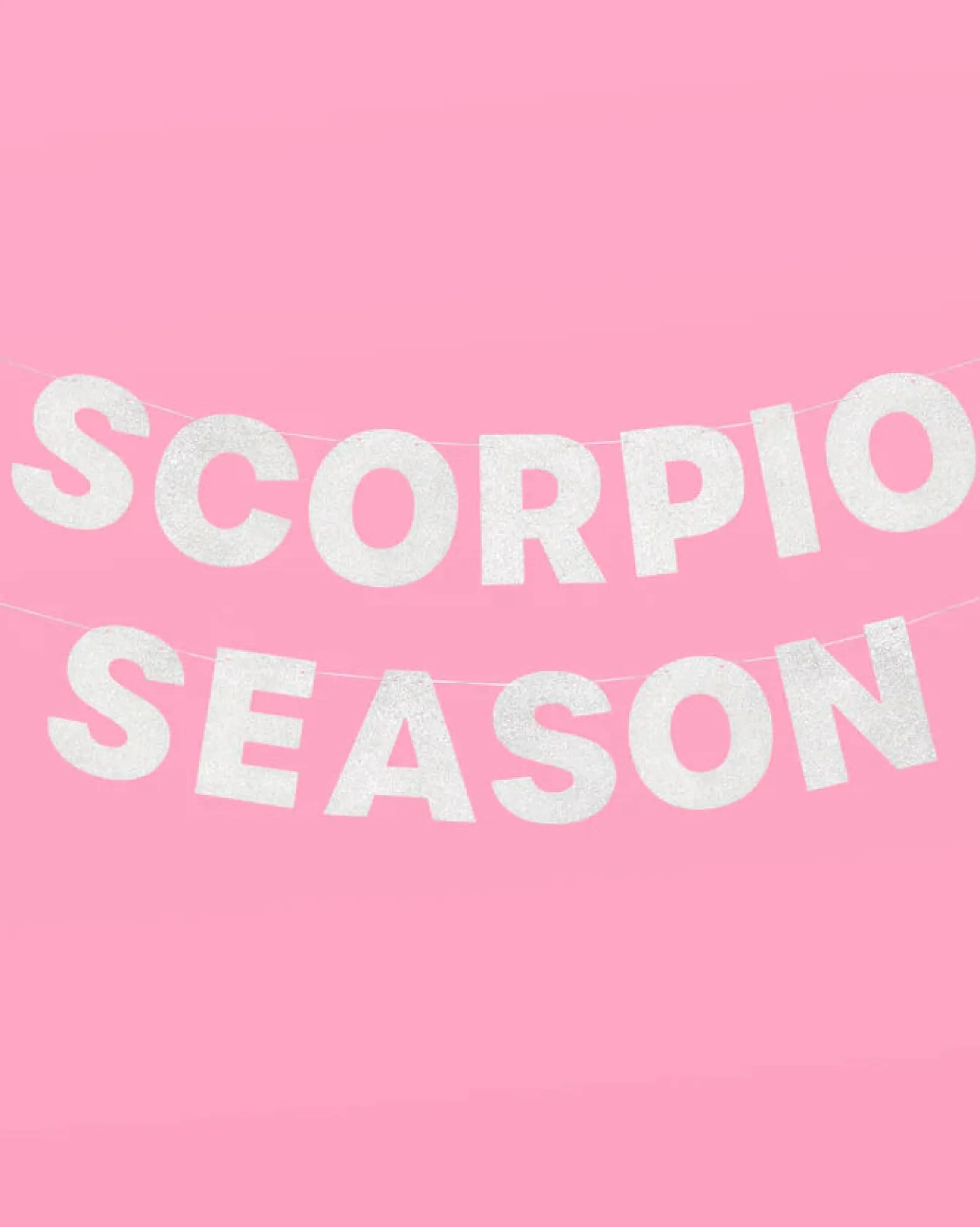 Scorpio Season Banner - Silver Glitter Banner