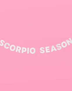 Scorpio Season Banner - Silver Glitter Banner
