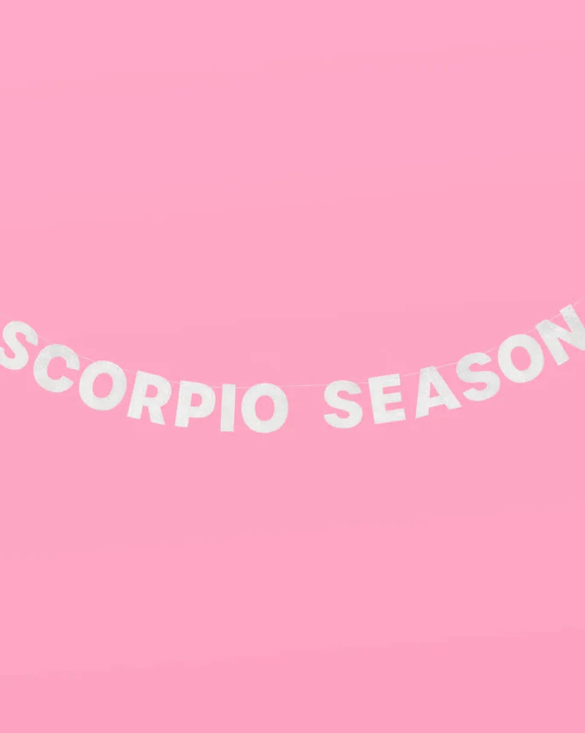 Scorpio Season Banner - Silver Glitter Banner