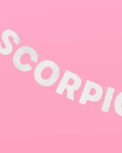 Scorpio Season Banner - Silver Glitter Banner
