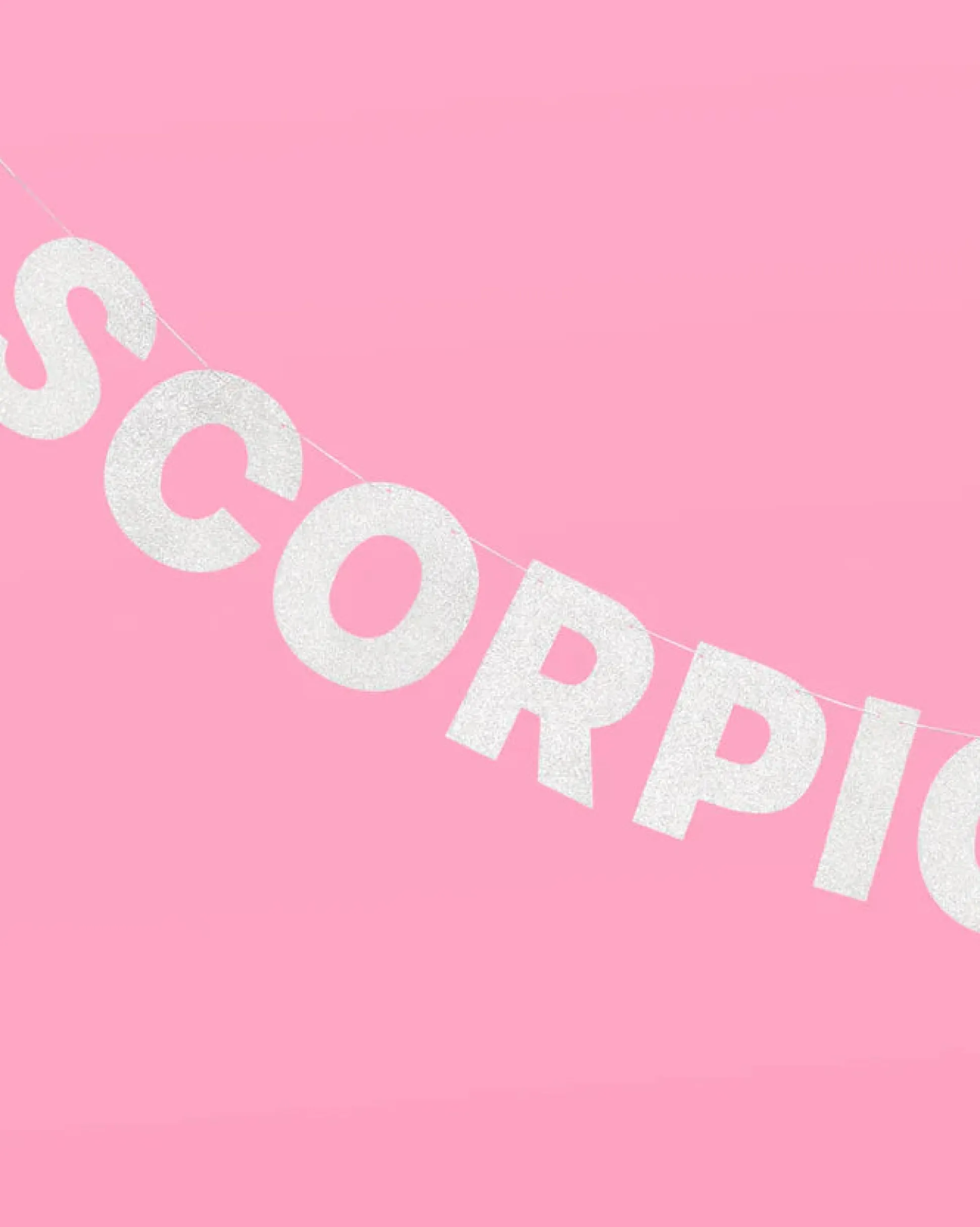 Scorpio Season Banner - Silver Glitter Banner
