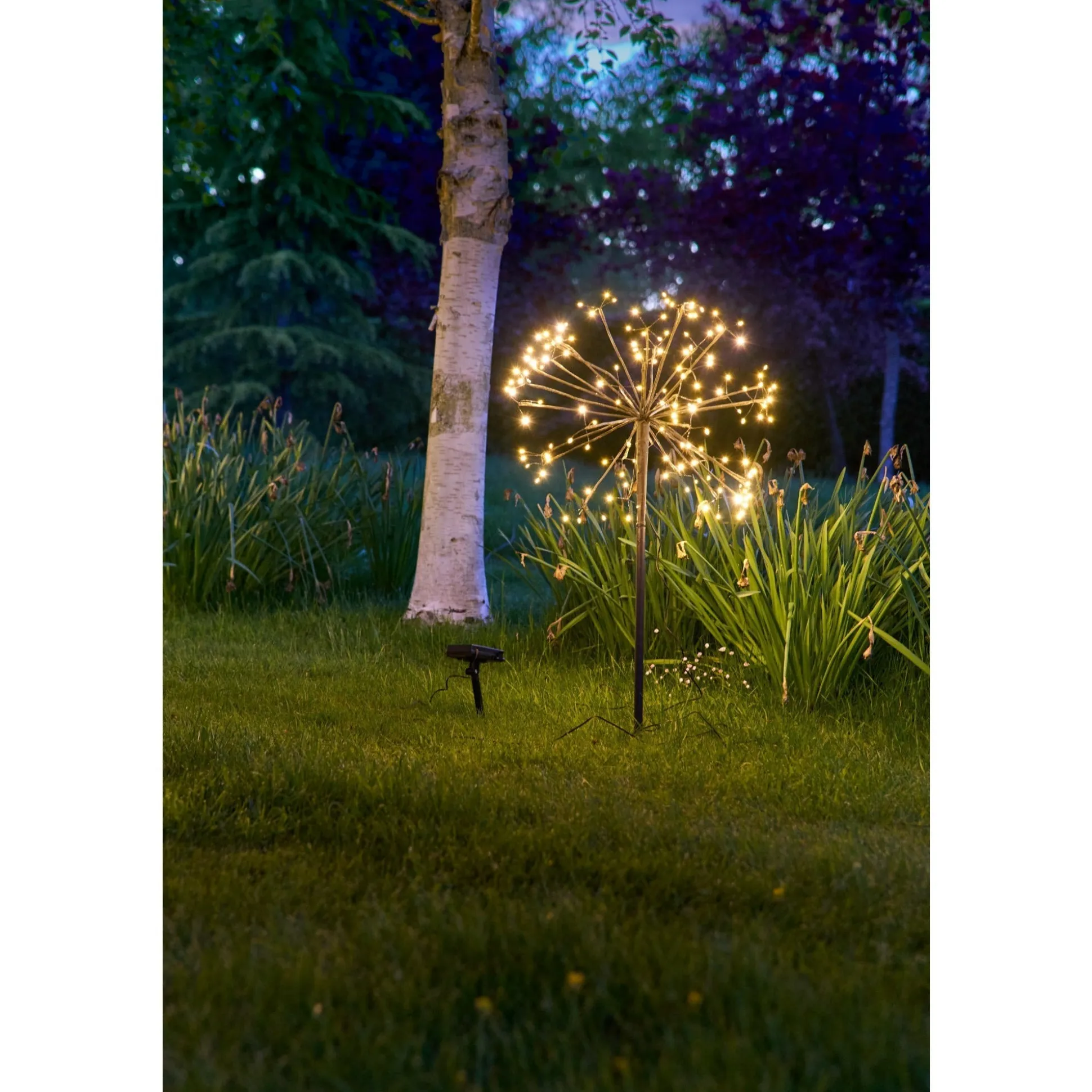 Solar Dandelion Light, Set of 3