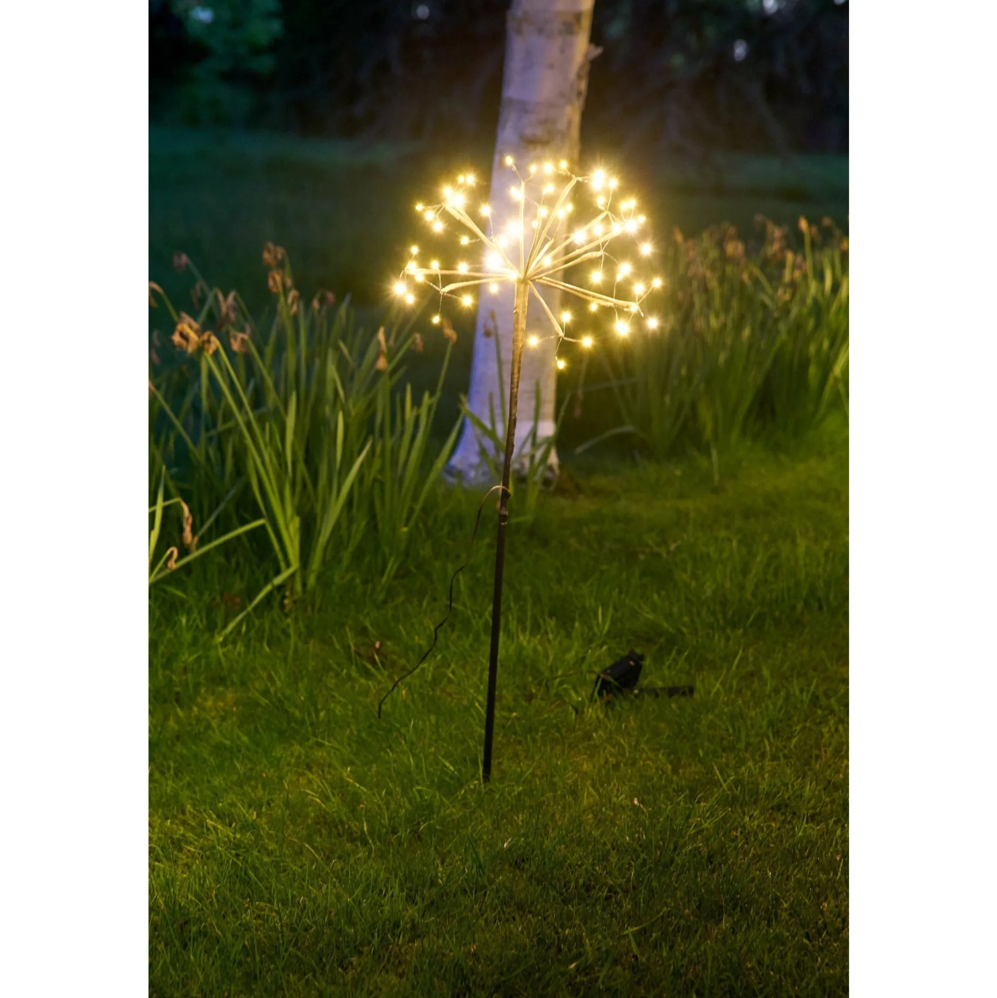 Solar Dandelion Light, Set of 3