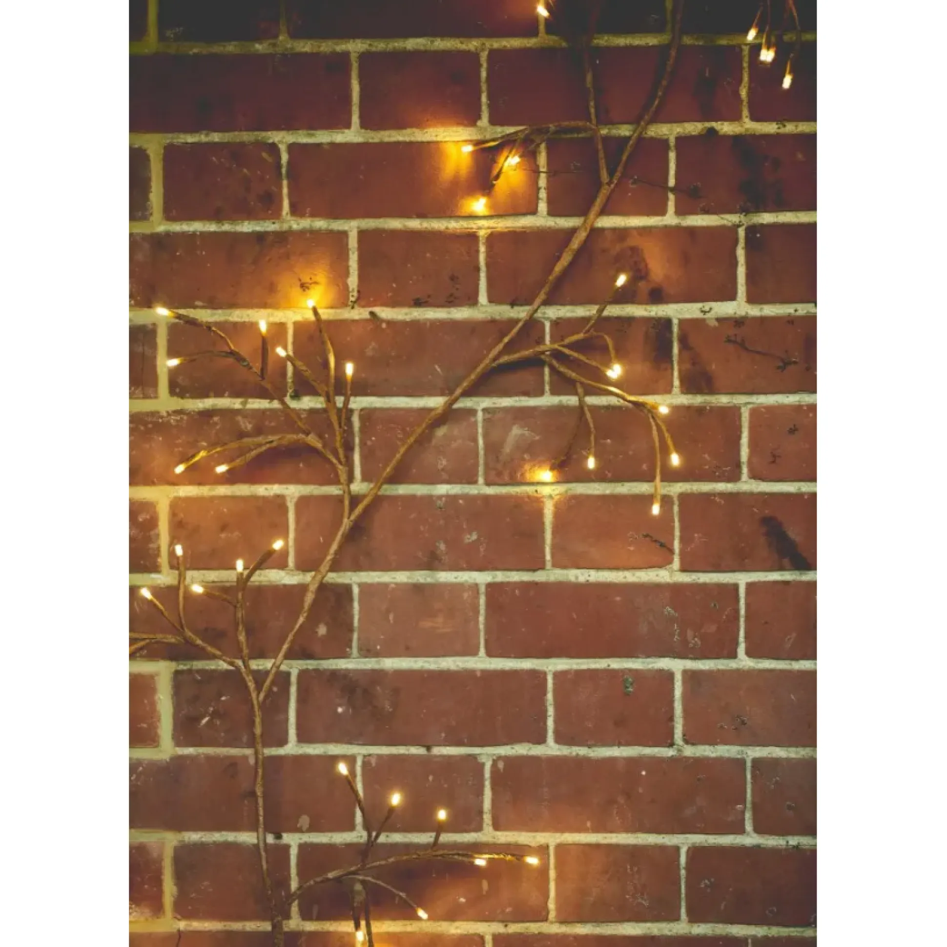 Solar Ivy Lights, Set of 3