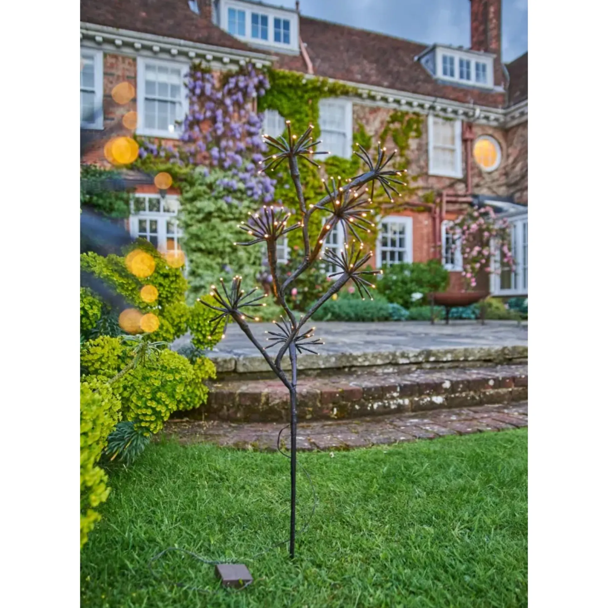 Solar Starburst Branch, Set of 3