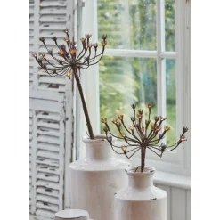 Solar Wild Fennel, Set of 3