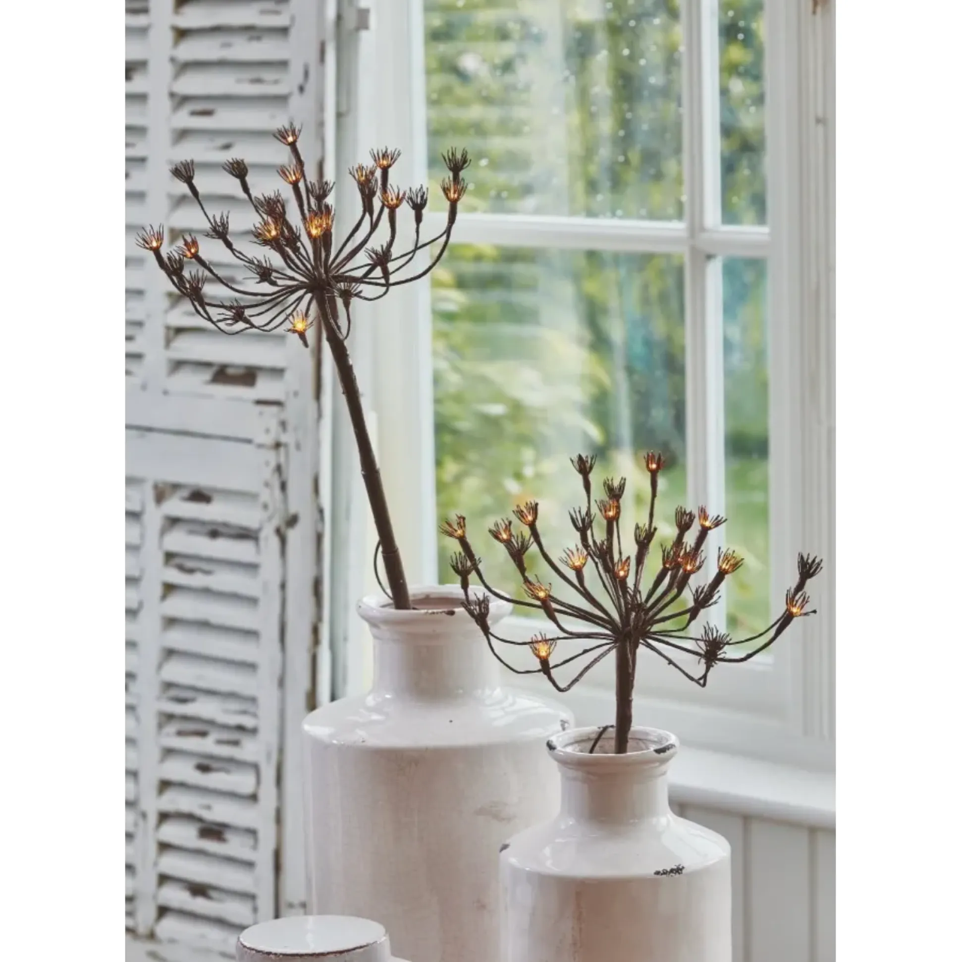 Solar Wild Fennel, Set of 3