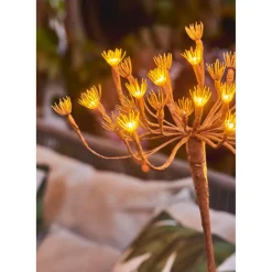Solar Wild Fennel, Set of 3