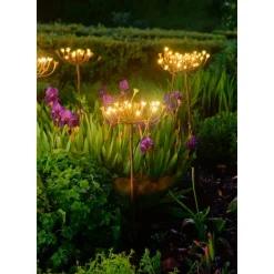 Solar Wild Fennel, Set of 3