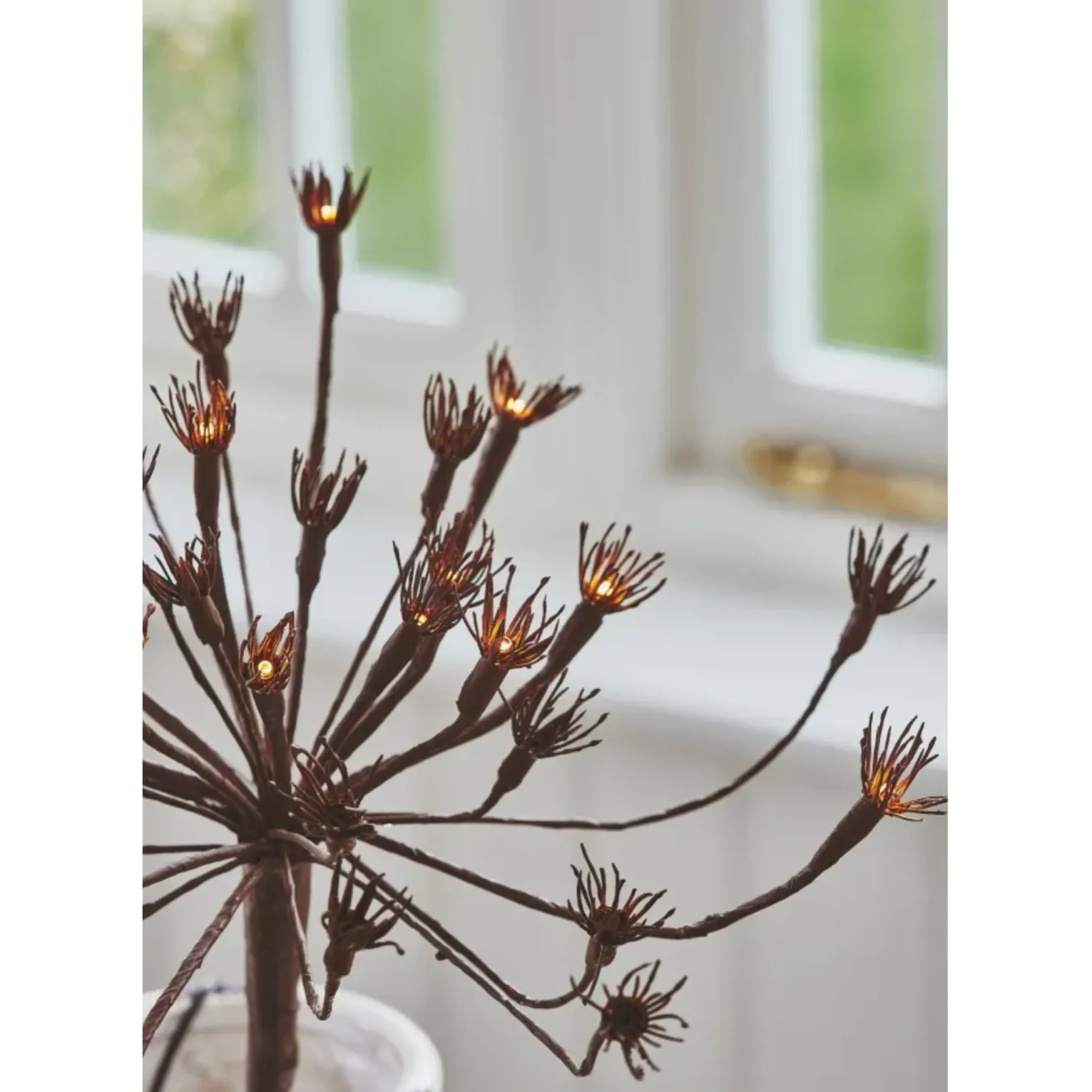 Solar Wild Fennel, Set of 3