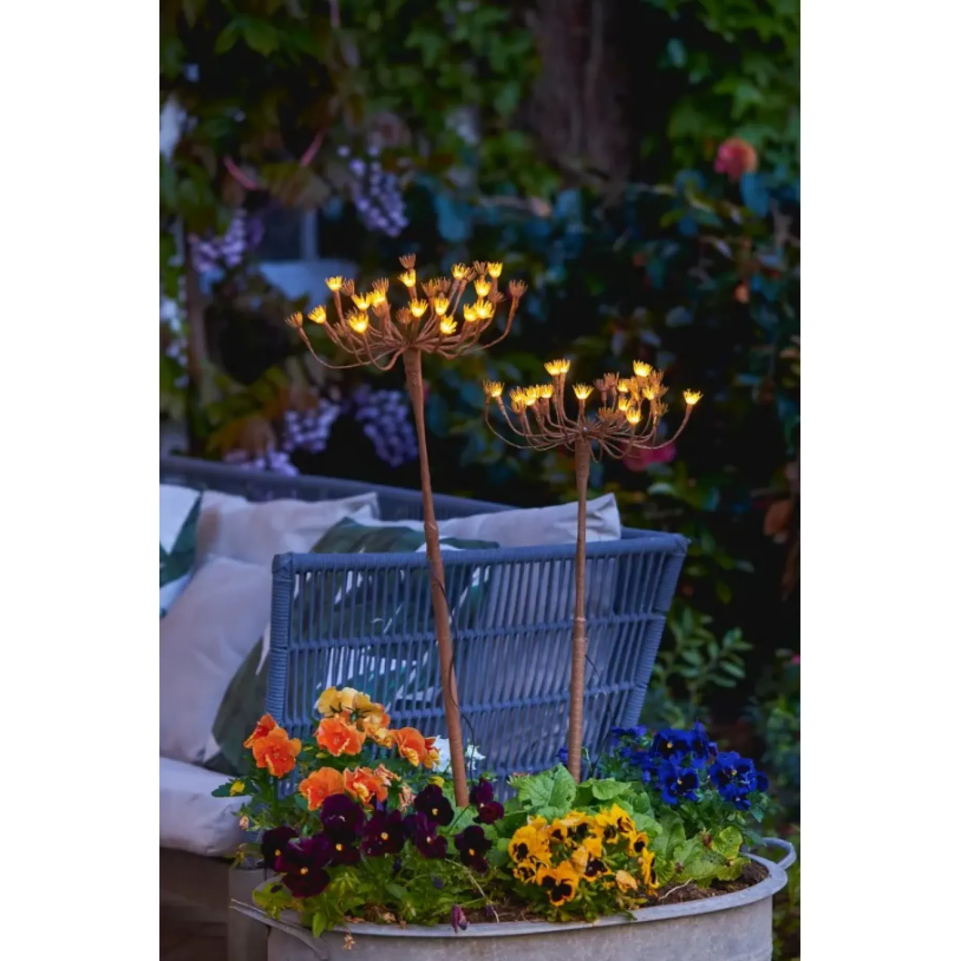 Solar Wild Fennel, Set of 3