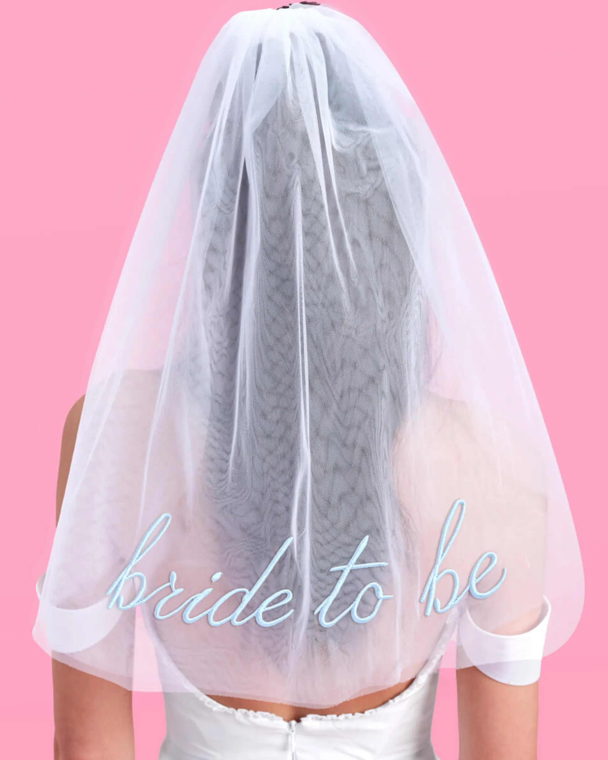 Something Blue Veil - Embroidered Tulle Veil