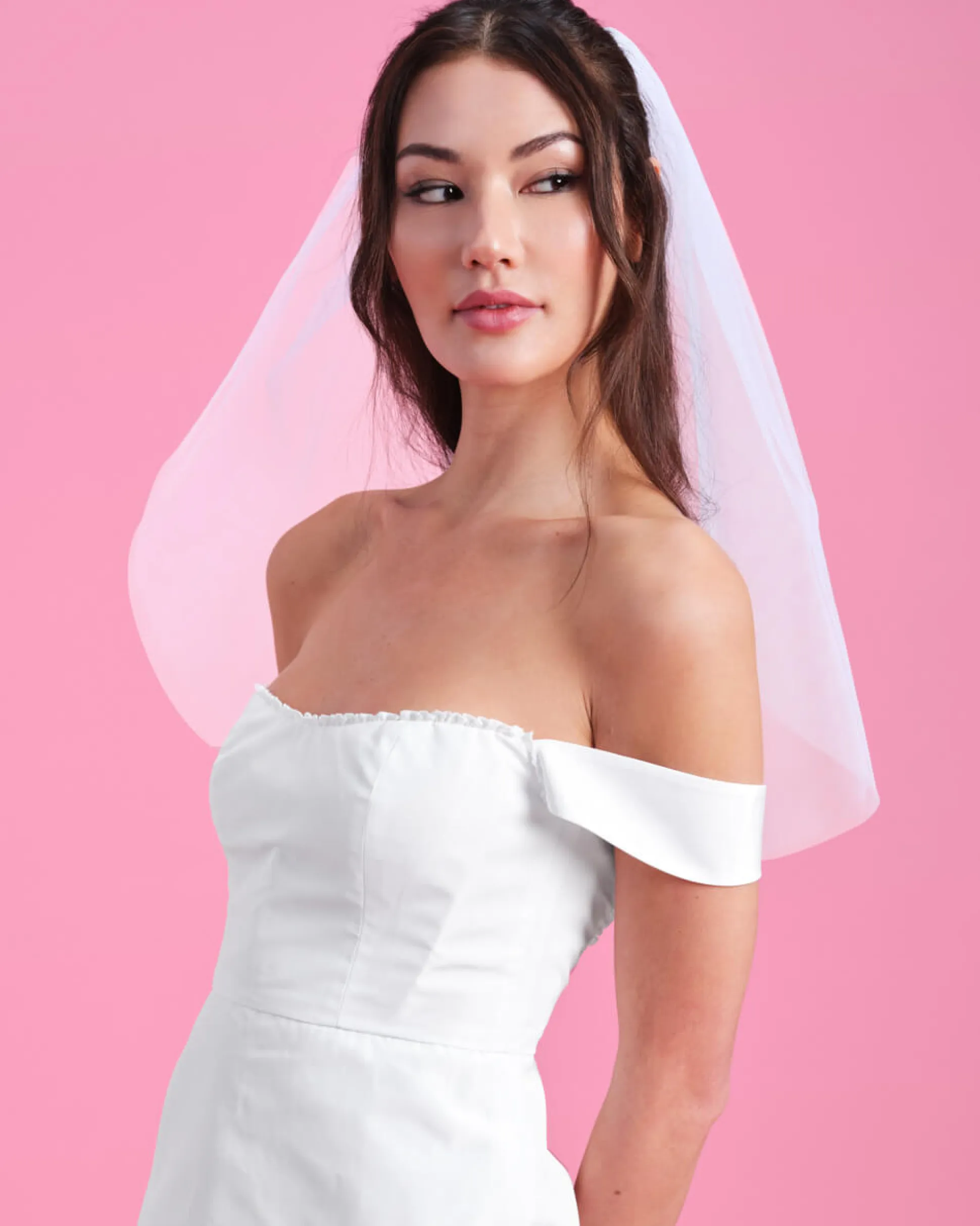 Something Blue Veil - Embroidered Tulle Veil