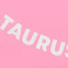 Taurus Season Banner - Silver Glitter Banner