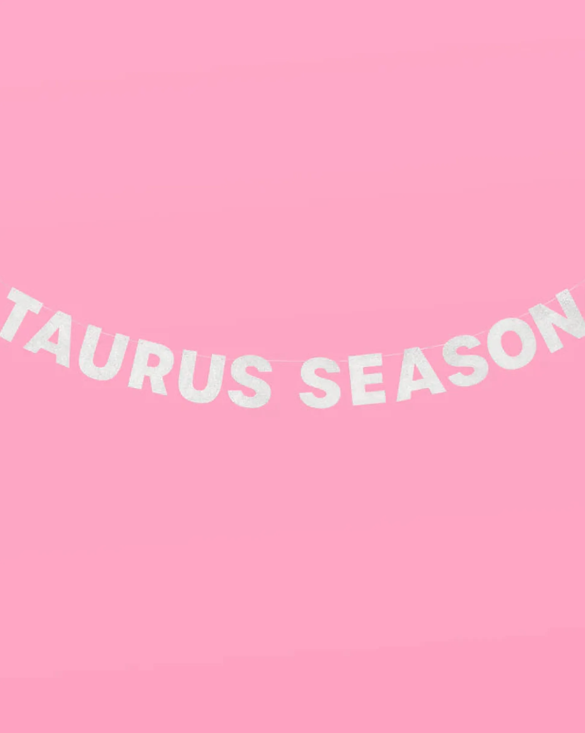Taurus Season Banner - Silver Glitter Banner