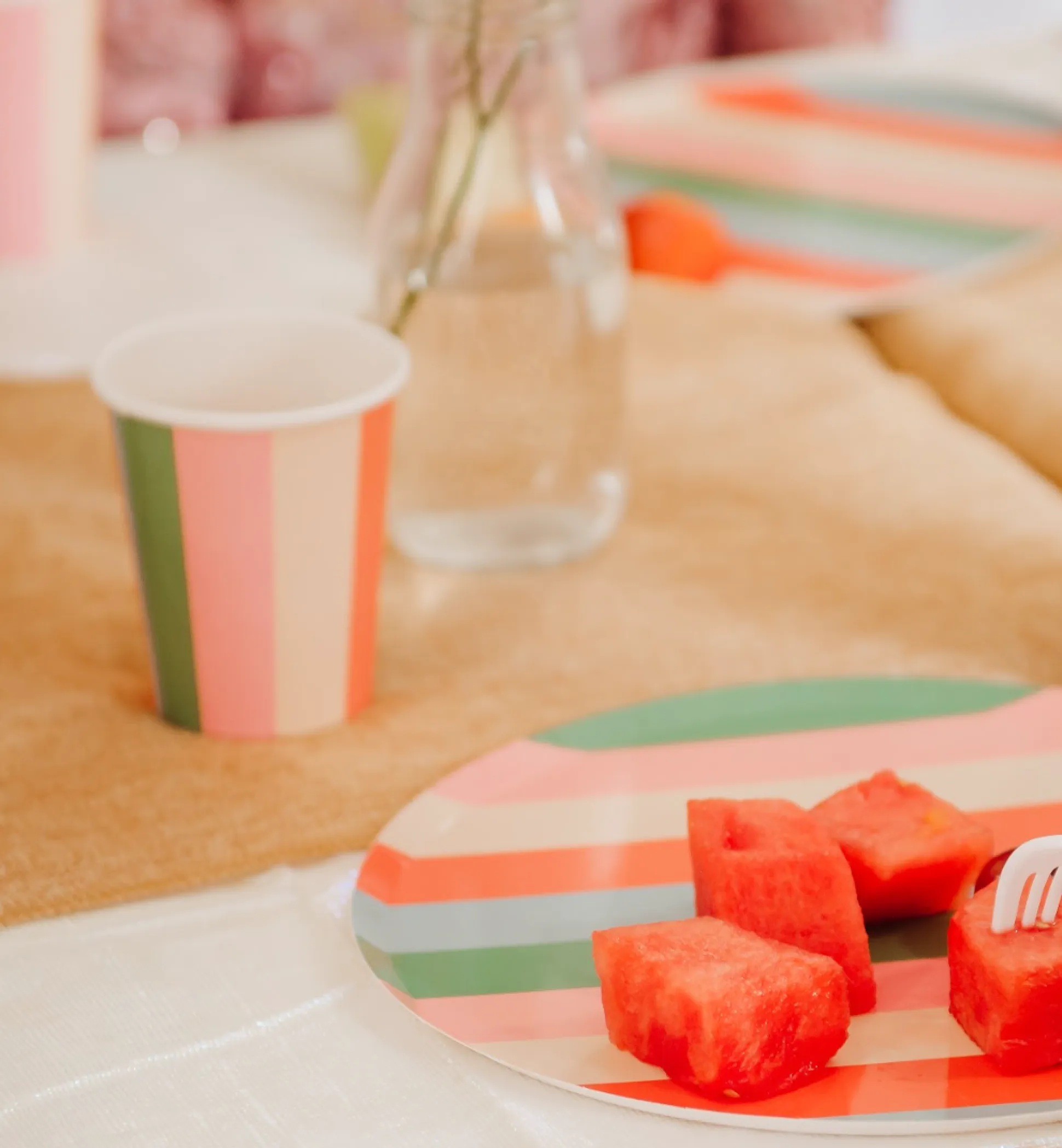 Vibrant Striped Party Pack for 12