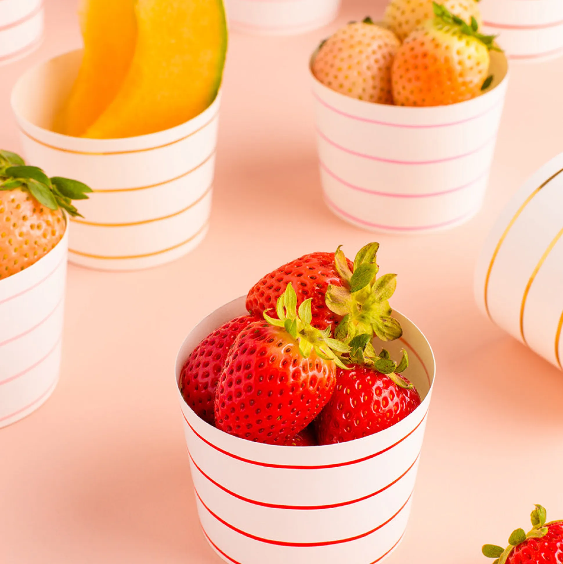 Warm Palette Frenchie Striped Baking Cups, Pack of 48