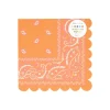 Western Large Napkins, Set of 16