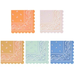 Western Large Napkins, Set of 16