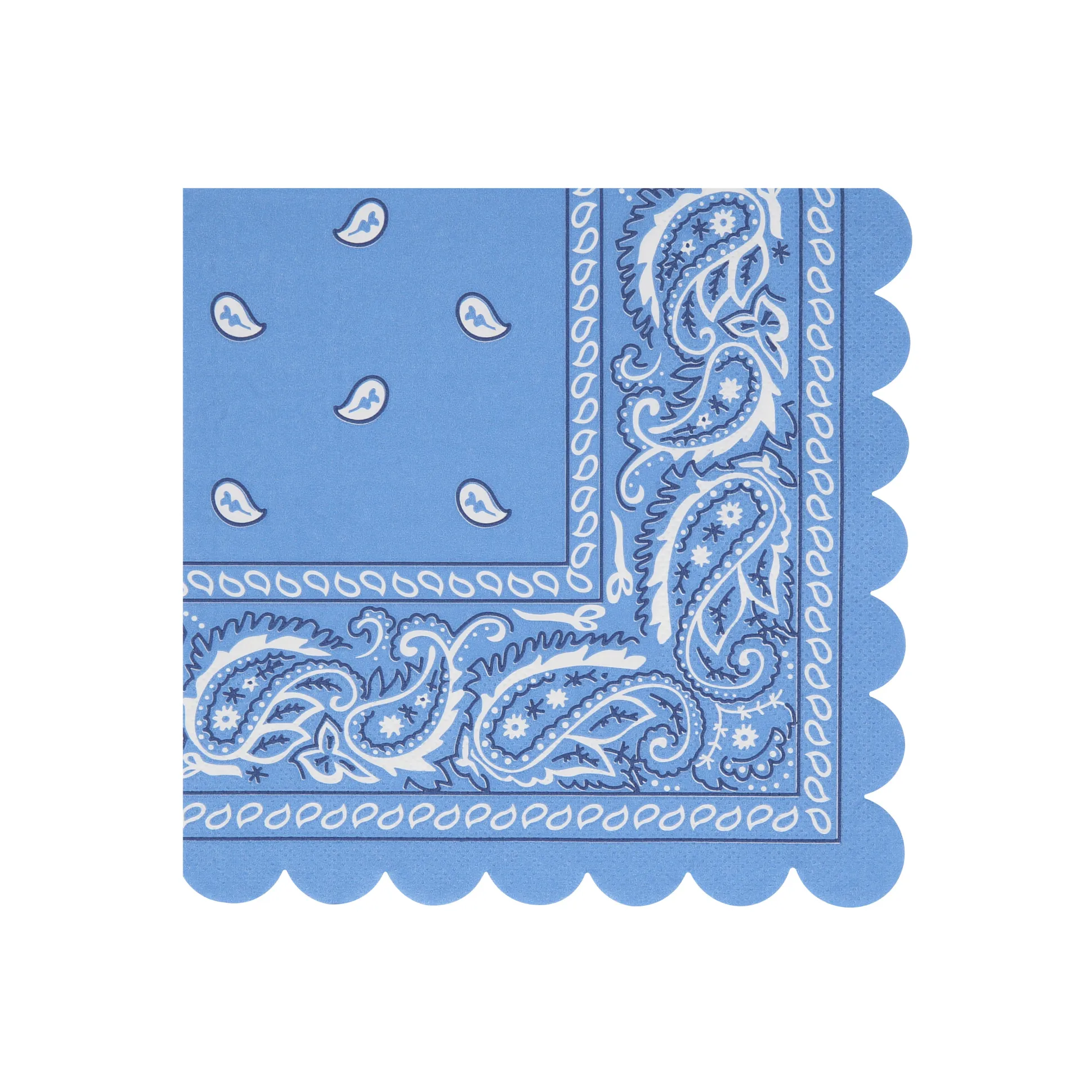 Western Large Napkins, Set of 16