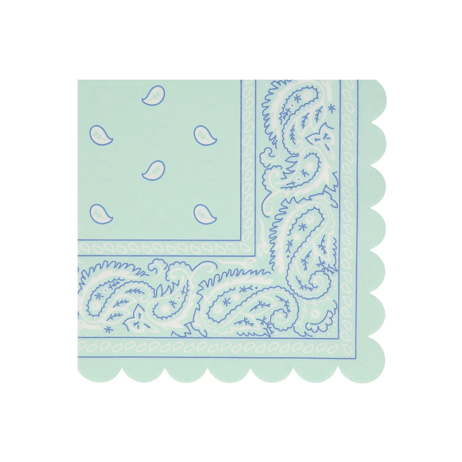 Western Large Napkins, Set of 16
