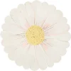 Wild Daisy Plates